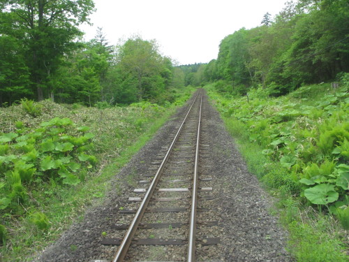 ローカル列車に乗って旅を続ける